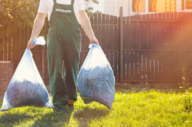 Basement Cleanout Services in Bridgeport, OH